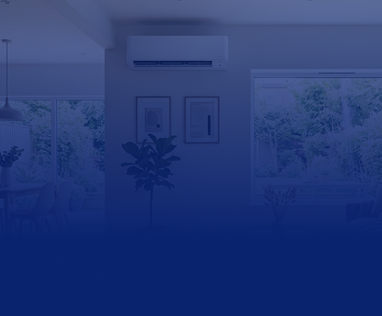 expert bg image